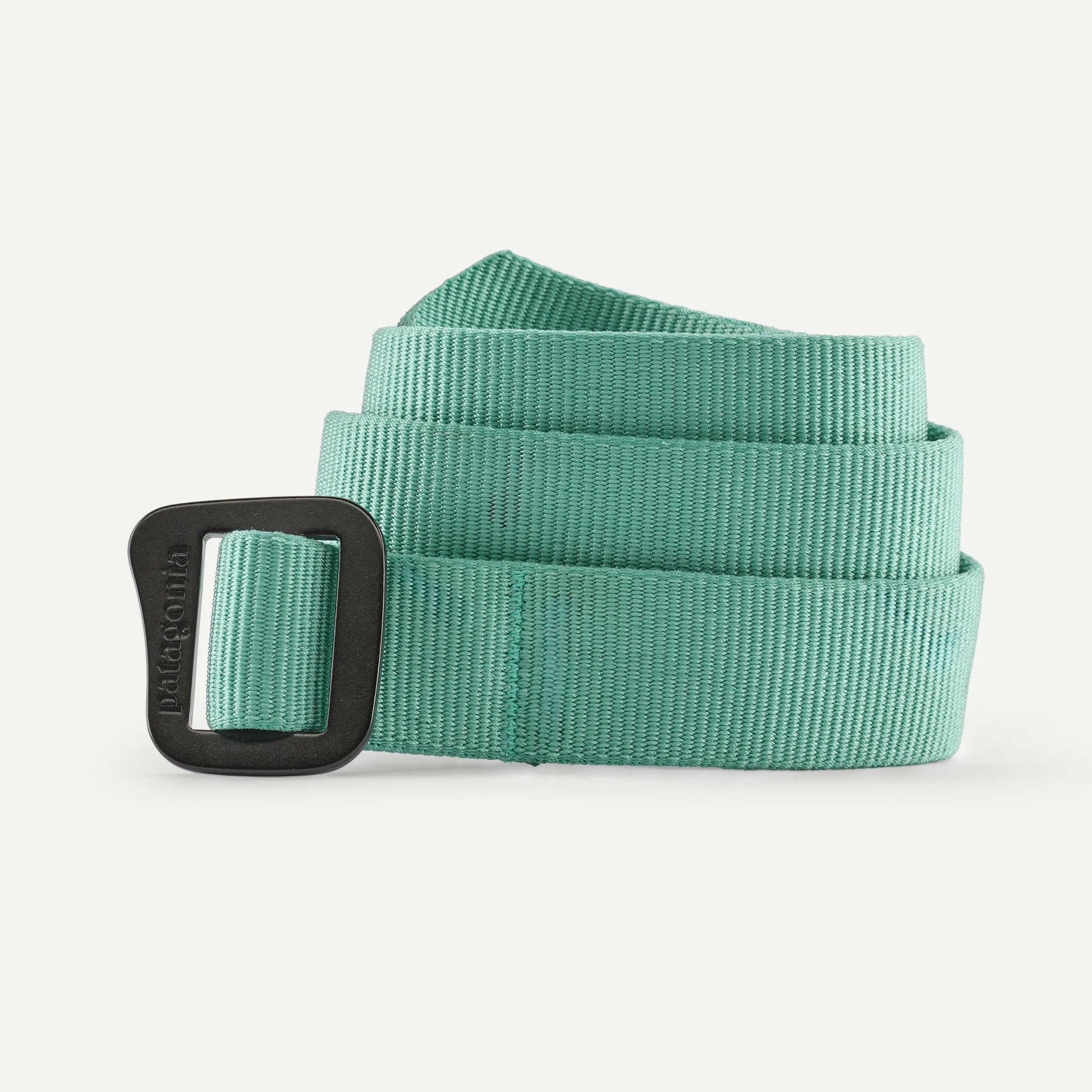 Patagonia Friction Web Belt Aqua Stone