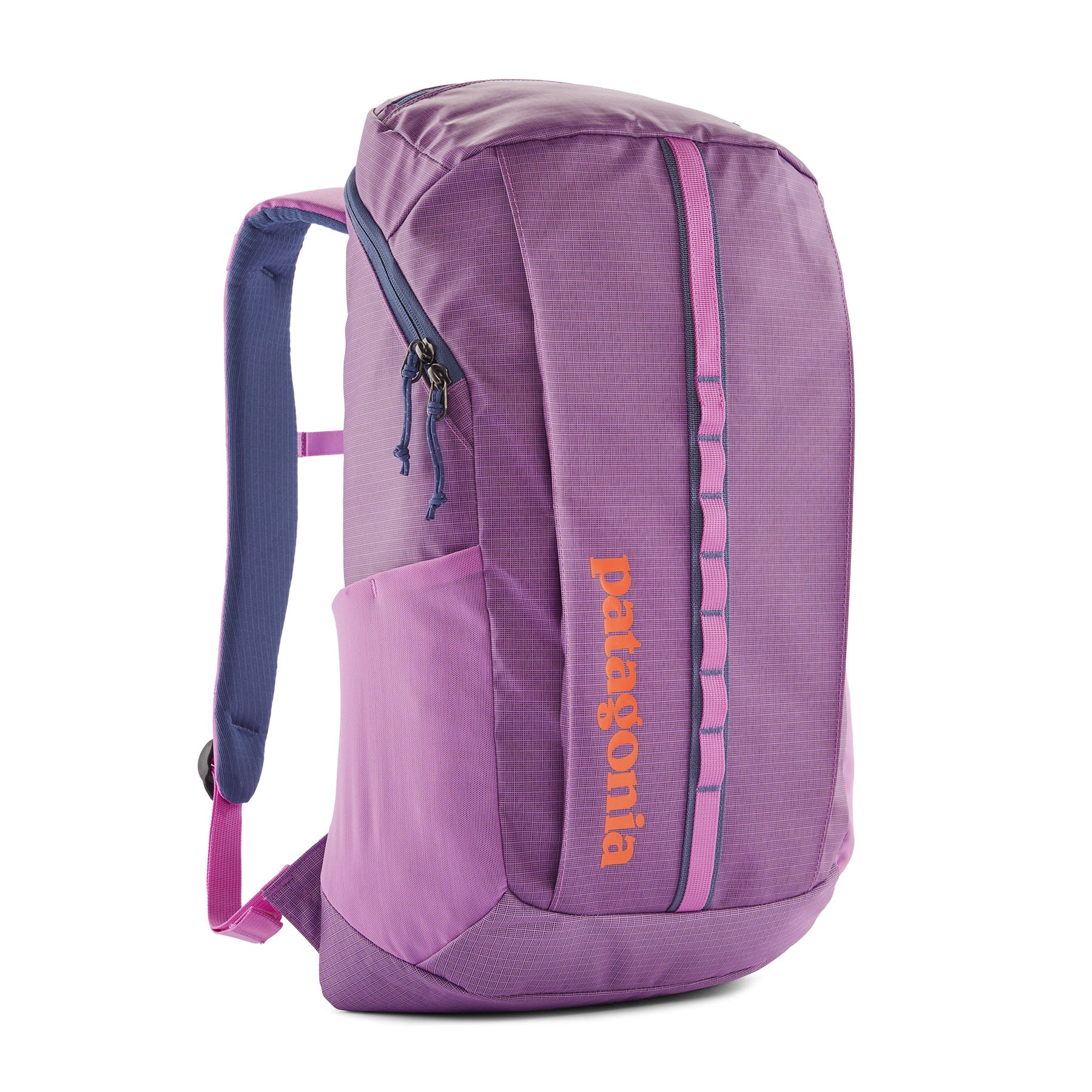 Patagonia Black Hole Pack