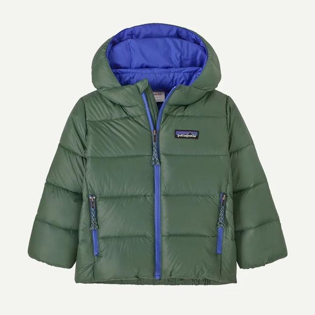 Patagonia Baby Hi-loft Down Sweater Hoody Canopy Green